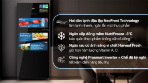 Tủ lạnh Beko Inverter 340 lít RDNT371E50VZHFSGB - THÁI LAN (N.7T)